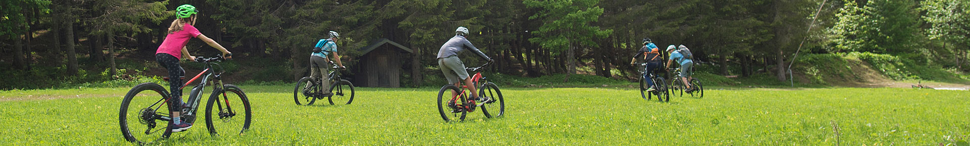 Electric MTB Montriond Lake