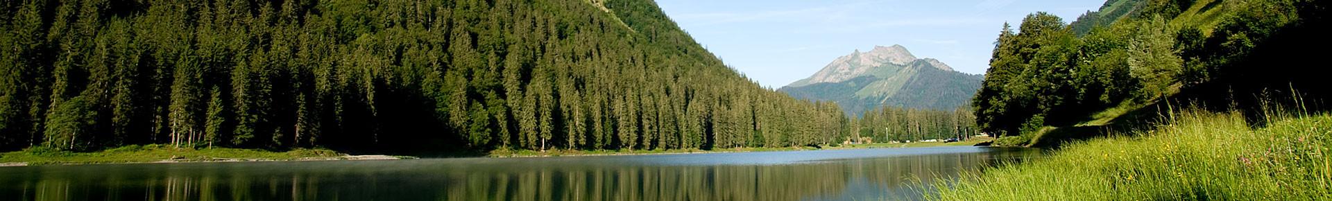 Lac de Montriond en été