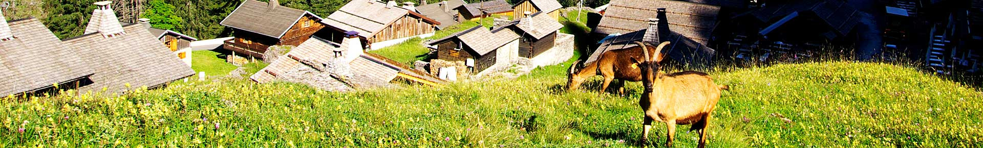 Le village des Lindarets en été