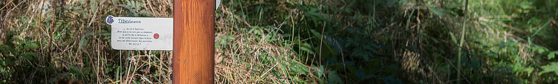 Sentier ludique Seytroux à la Loup's