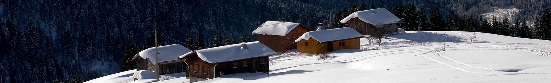 Valley d'Aulps Newsletter