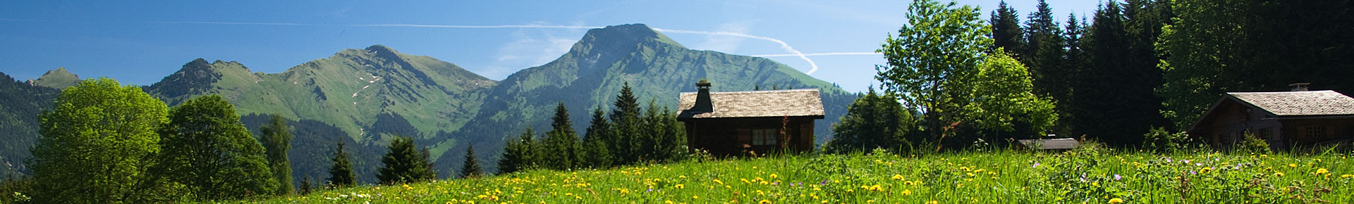 Webcams été Vallée d'Aulps