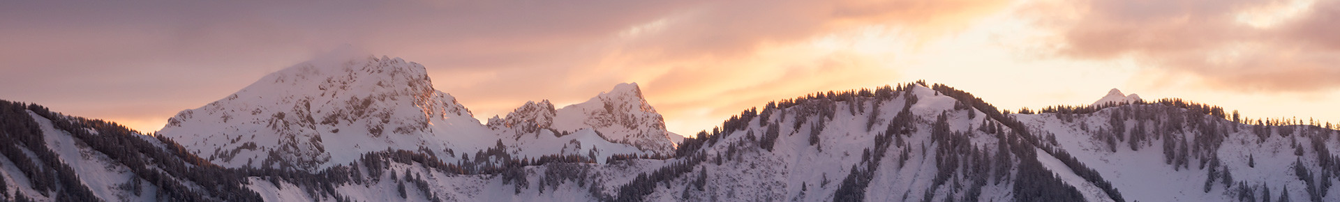 Winter brochures
