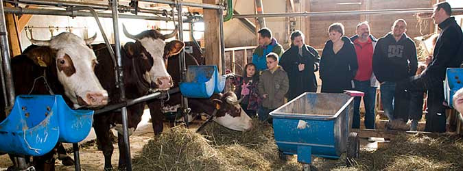 Farm guided visit