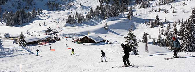 Ski Resort