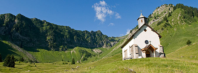 Graydon Alpine Pasture