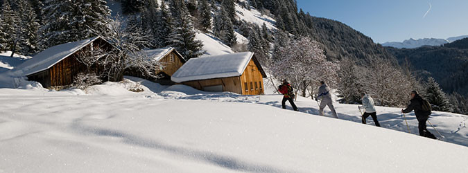 Snowshoe routes