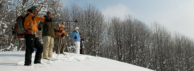 Guided snowshoe hikes