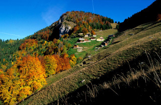 Alpage et belvédère de Tréchauffé