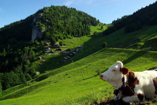 Alpage et belvédère de Tréchauffé