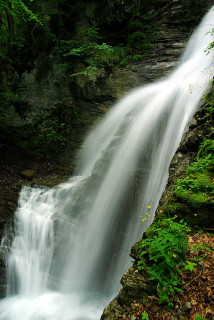 cascade-nyon-3184