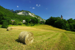 labaume-foins7-2816