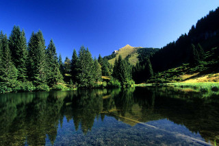 lac-damoz-moulins06-4-3205