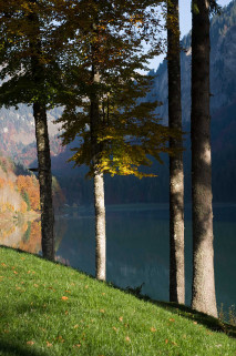 lac-montriond-oct12-11-5145