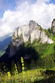 Dalle de Mévone