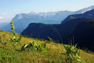 Pointe Percée depuis le Char des Quais