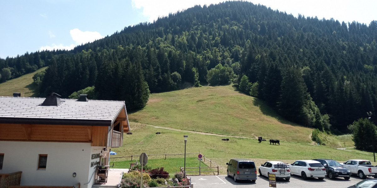 Agence Alpes Services Immobiliers