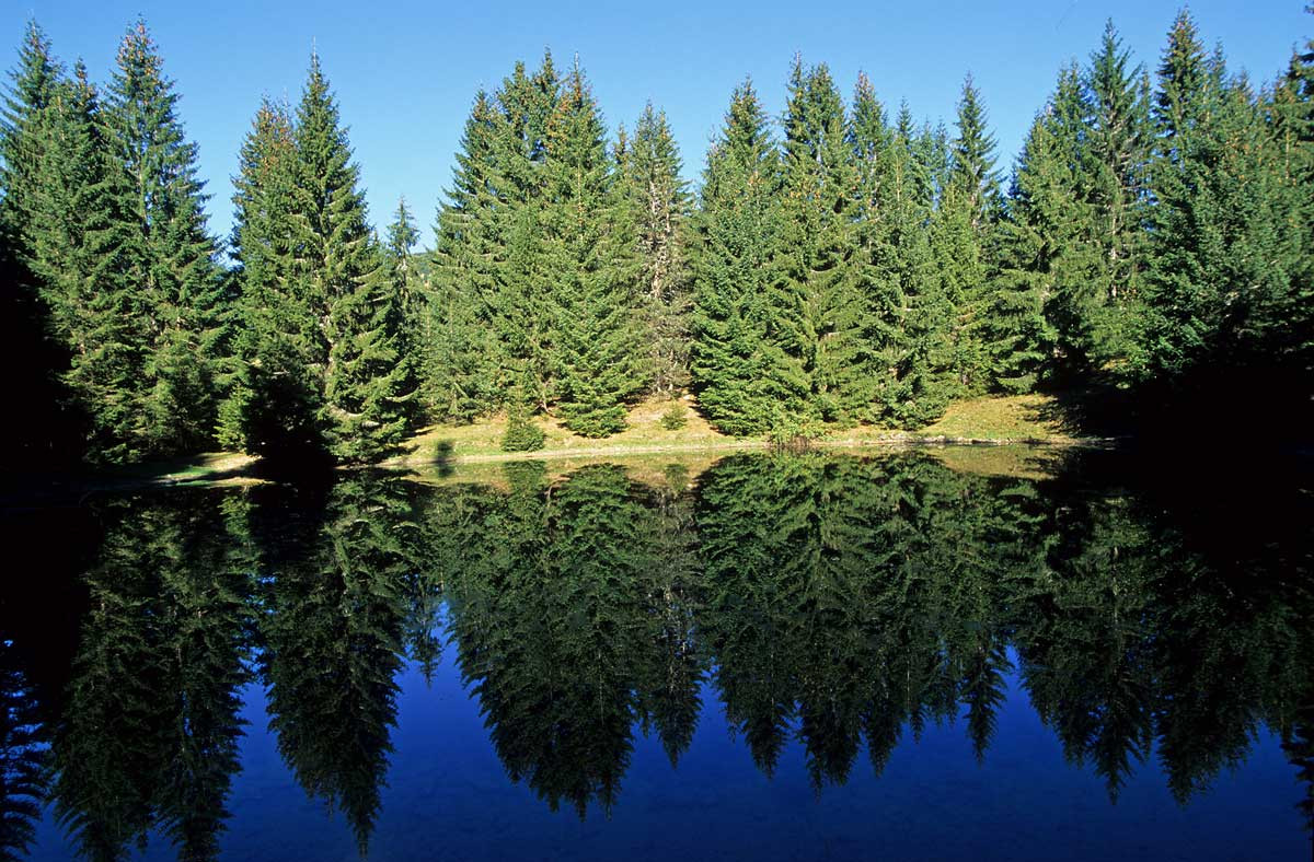 Lac du Fouyet