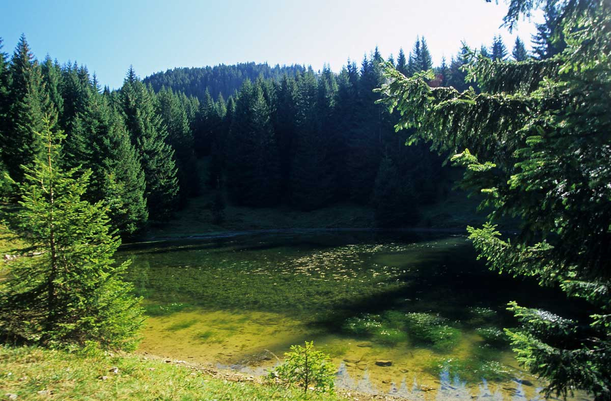 Lac du Fouyet