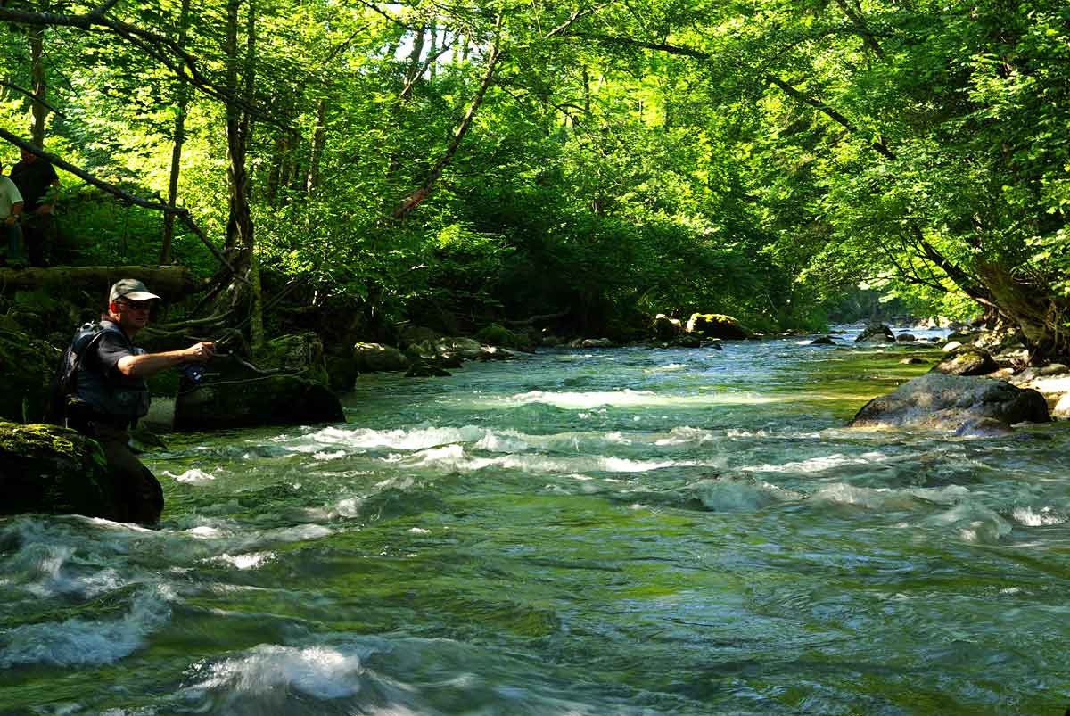 Pêche en rivière