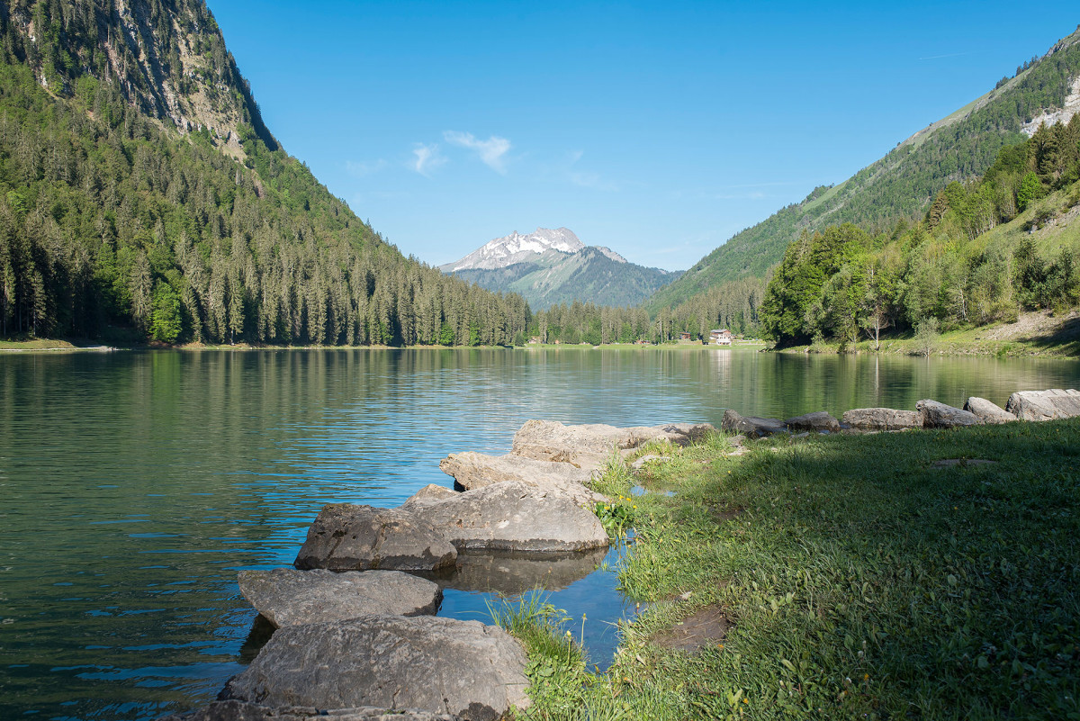 Sentier pédestre : du centre de Montriond au Lac_Montriond