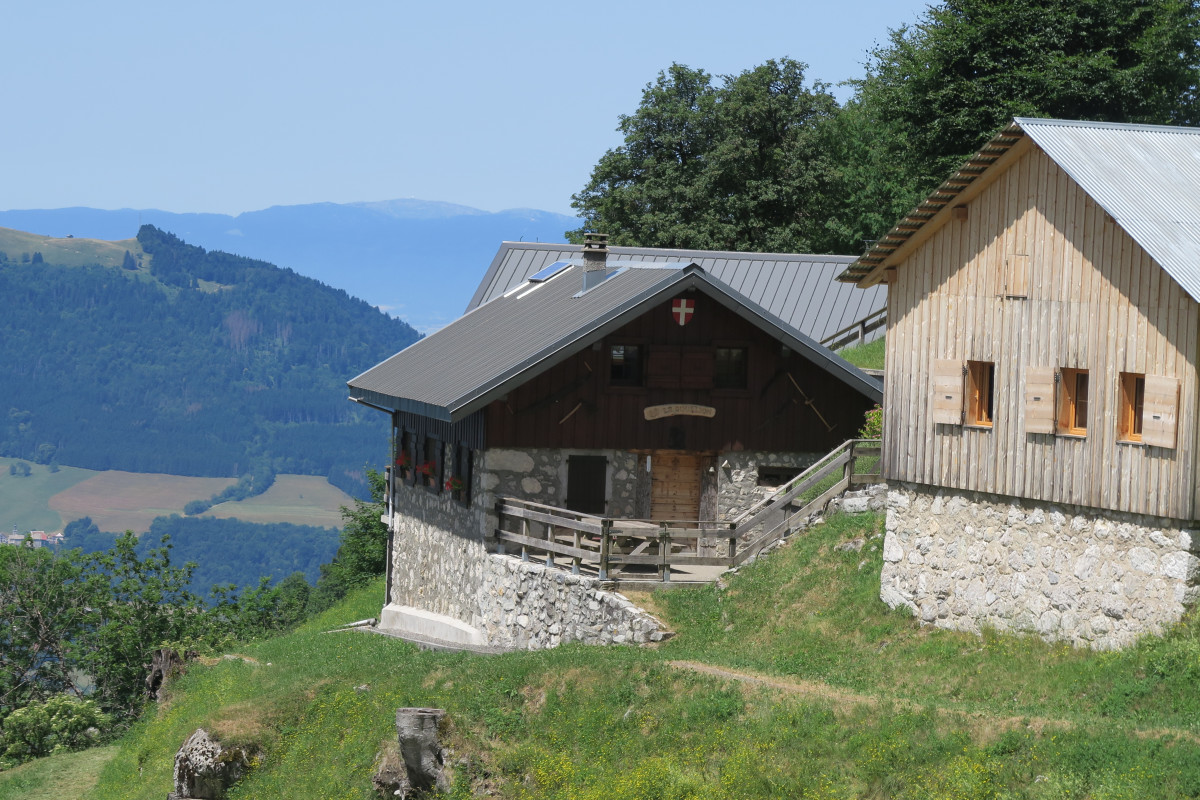 Tréchauffé Alpine Pasture_La Forclaz