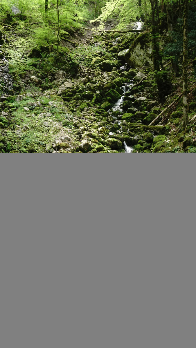 dsc03694.jpg