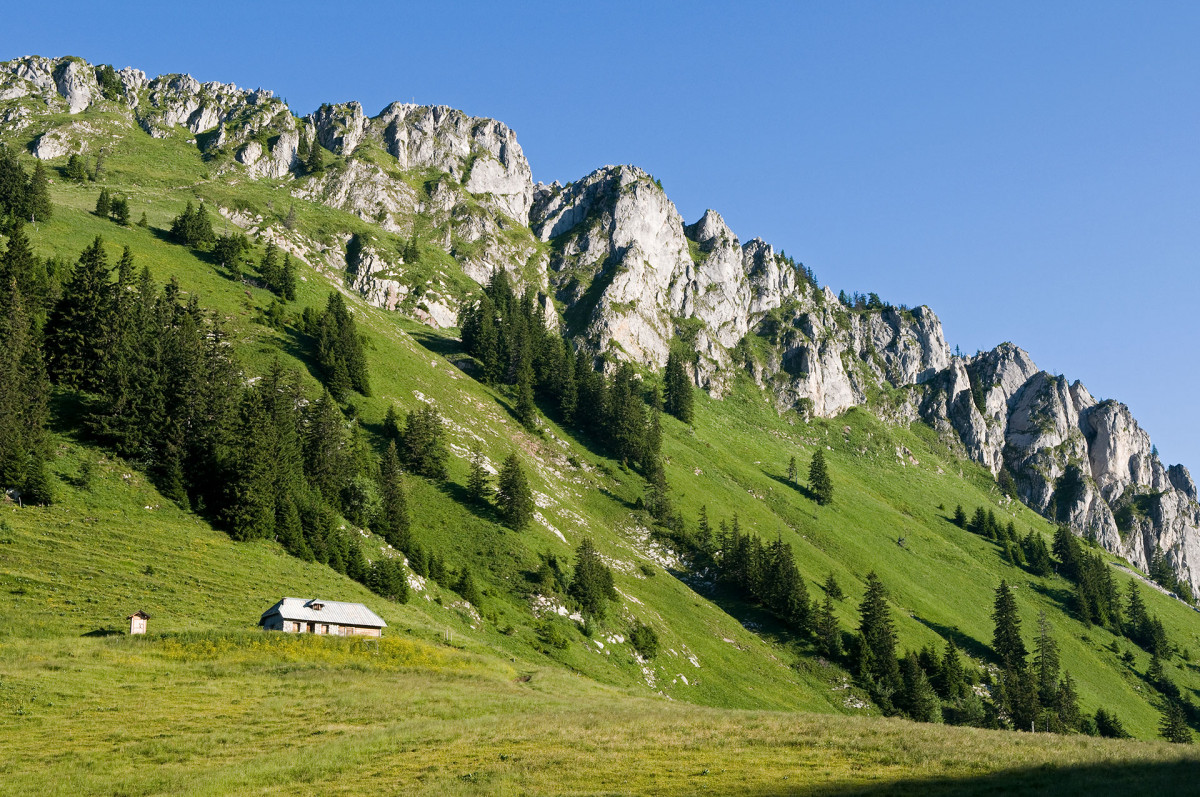 le Mont-Ouzon depuis le col Plan Champ le Mont-Ouzon depuis le col Plan Champ