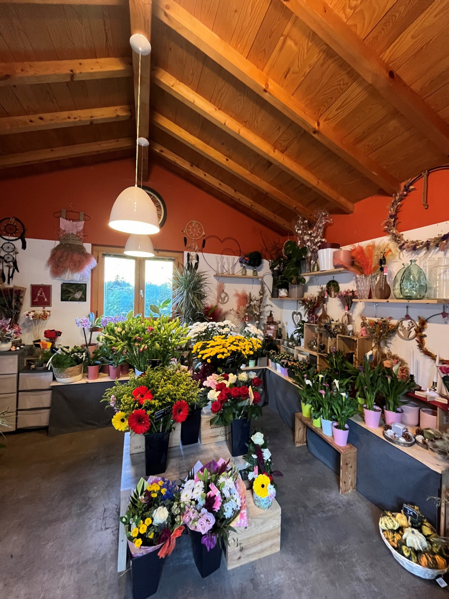 Fleurs d'Aulps_Saint-Jean-d'Aulps