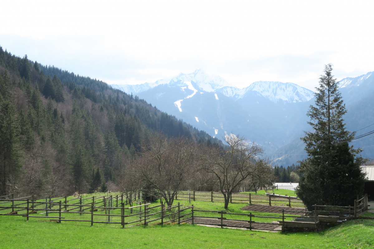 Hike to Pointe de la Croix_Saint-Jean-d'Aulps - © Victor Demilly / Vallée d'Aulps Tourisme Hike to Pointe de la Croix_Saint-Jean-d'Aulps