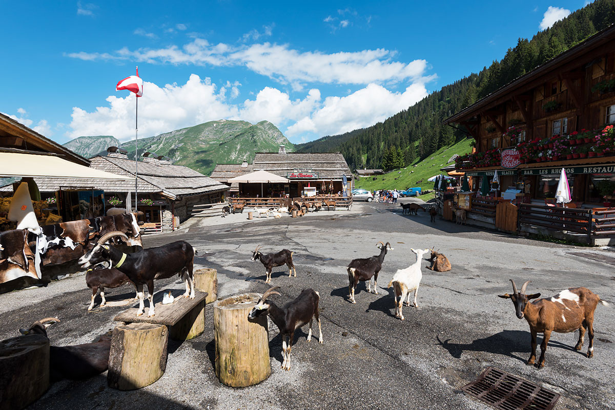 Practical information, maps and activities in Les Lindarets