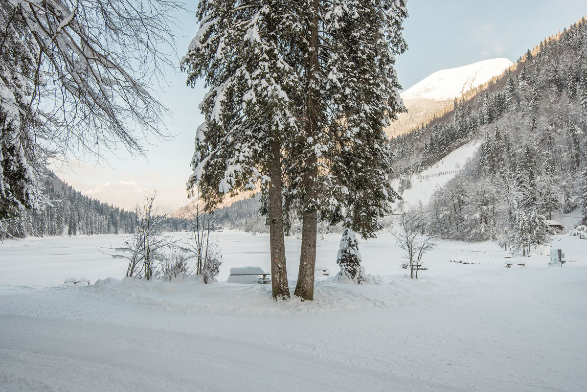Le Lac de Montriond gelé en hiver