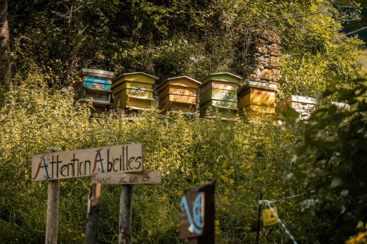 Notre Dame d'Aulps abbey_Saint-Jean-d'Aulps - © Lucie Tanguy / Vallée d'Aulps Tourisme Notre Dame d'Aulps abbey_Saint-Jean-d'Aulps