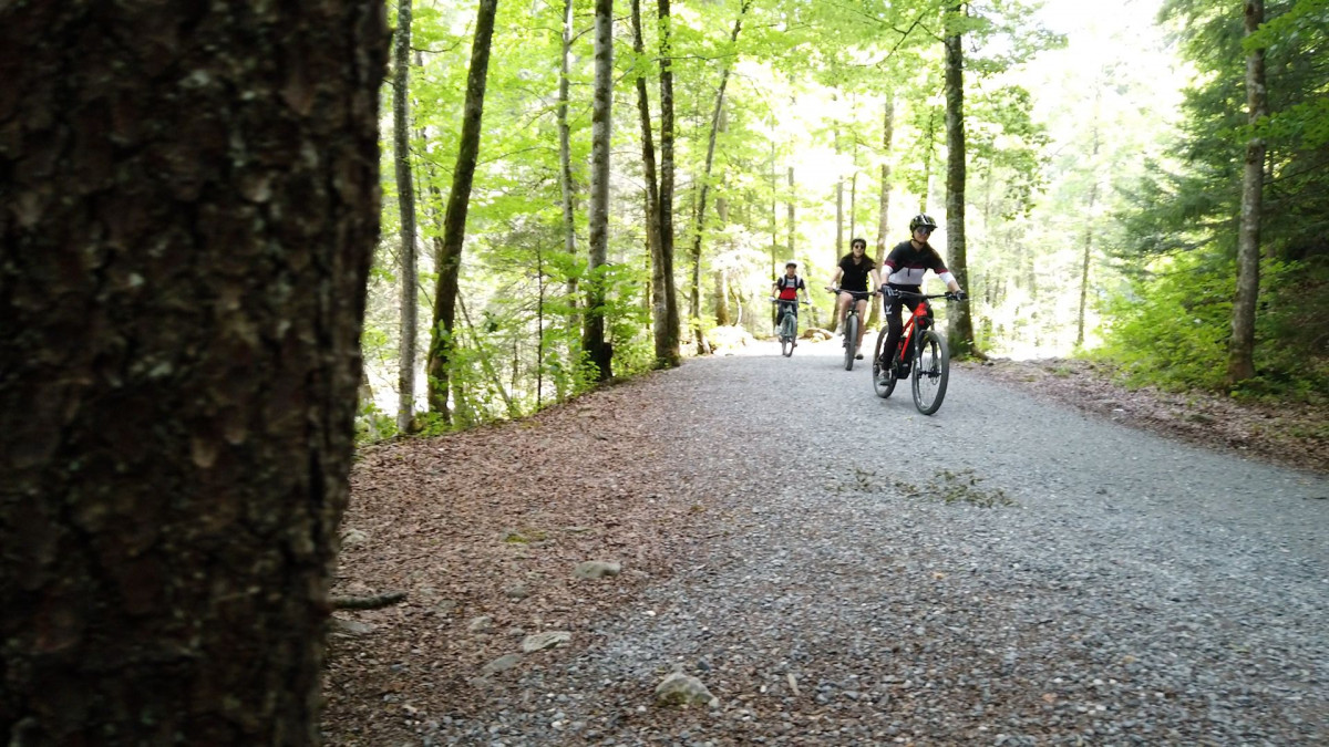 Sortie de ebike dans le brouillard