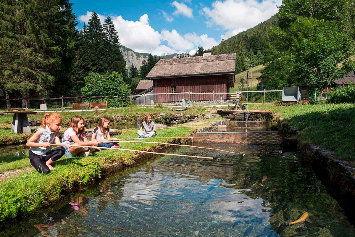 Pisciculture des Meuniers - © Yvan Tisseyre/CCHC Pisciculture des Meuniers