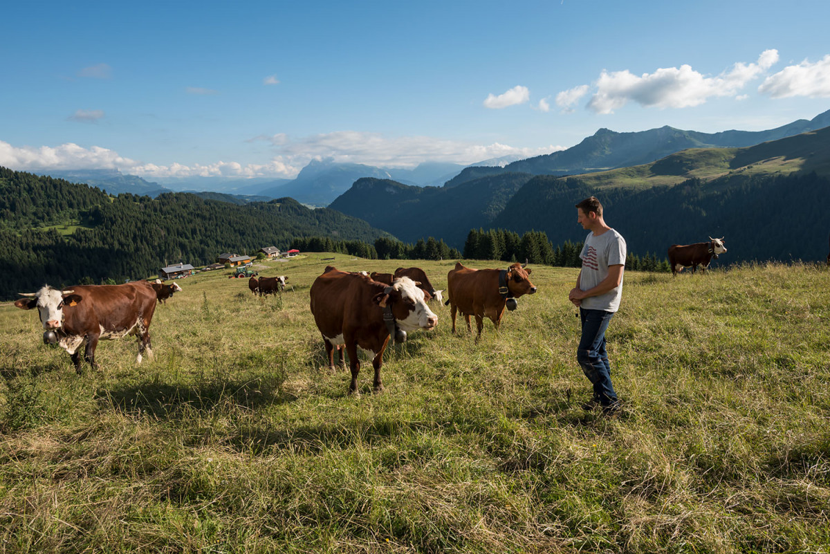 Alpage d'en l'Eau, au dessus du Col de l'Encrenaz Alpage d'en l'Eau, au dessus du Col de l'Encrenaz