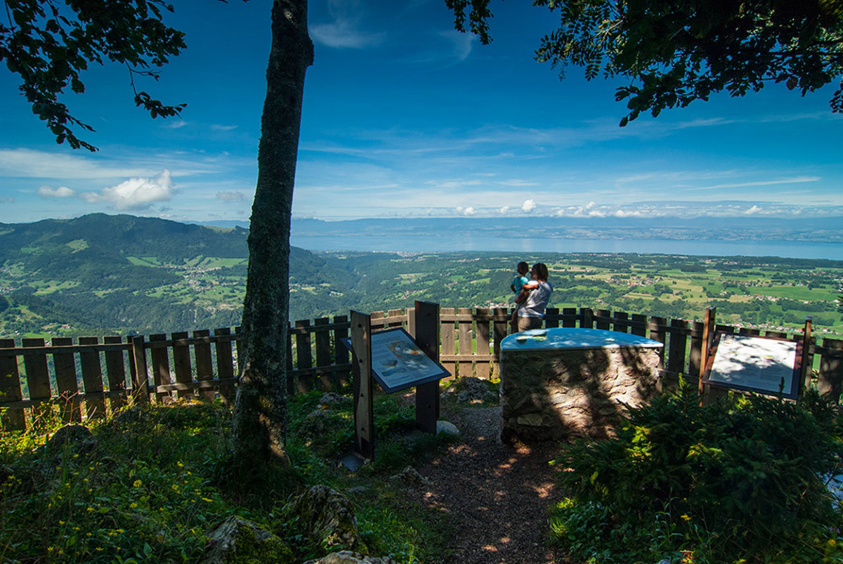 Panaroma depuis le belvédère de Tréchauffé (La Forclaz) Panaroma depuis le belvédère de Tréchauffé (La Forclaz)