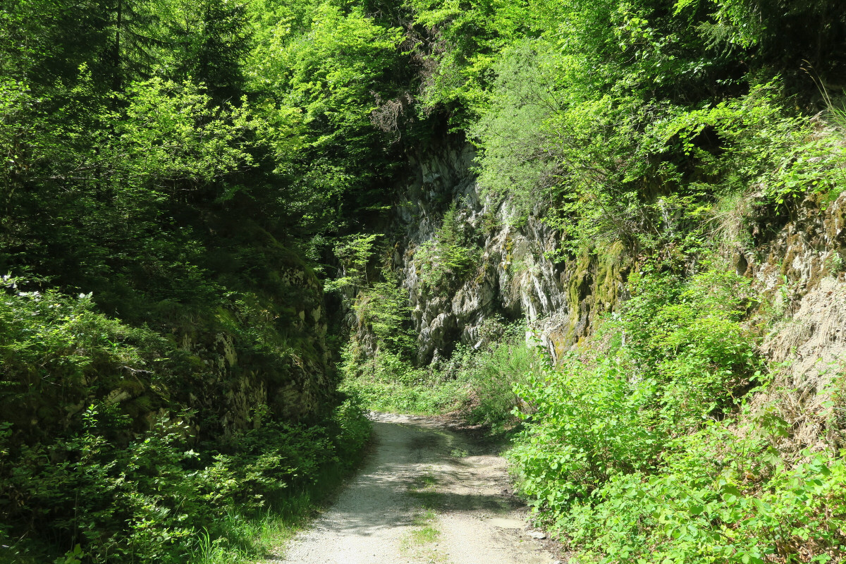 Hiking: the Mévonne refuge_La Vernaz