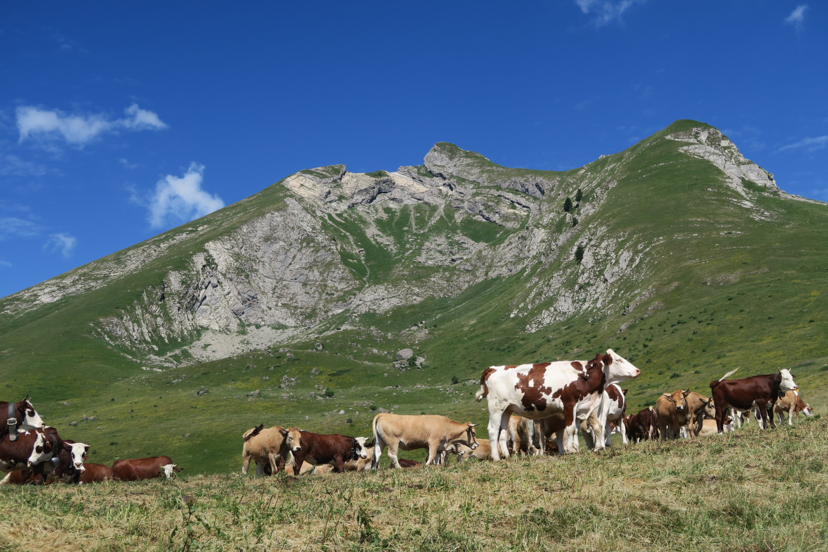 Walking tour: Tour du Char des Quais