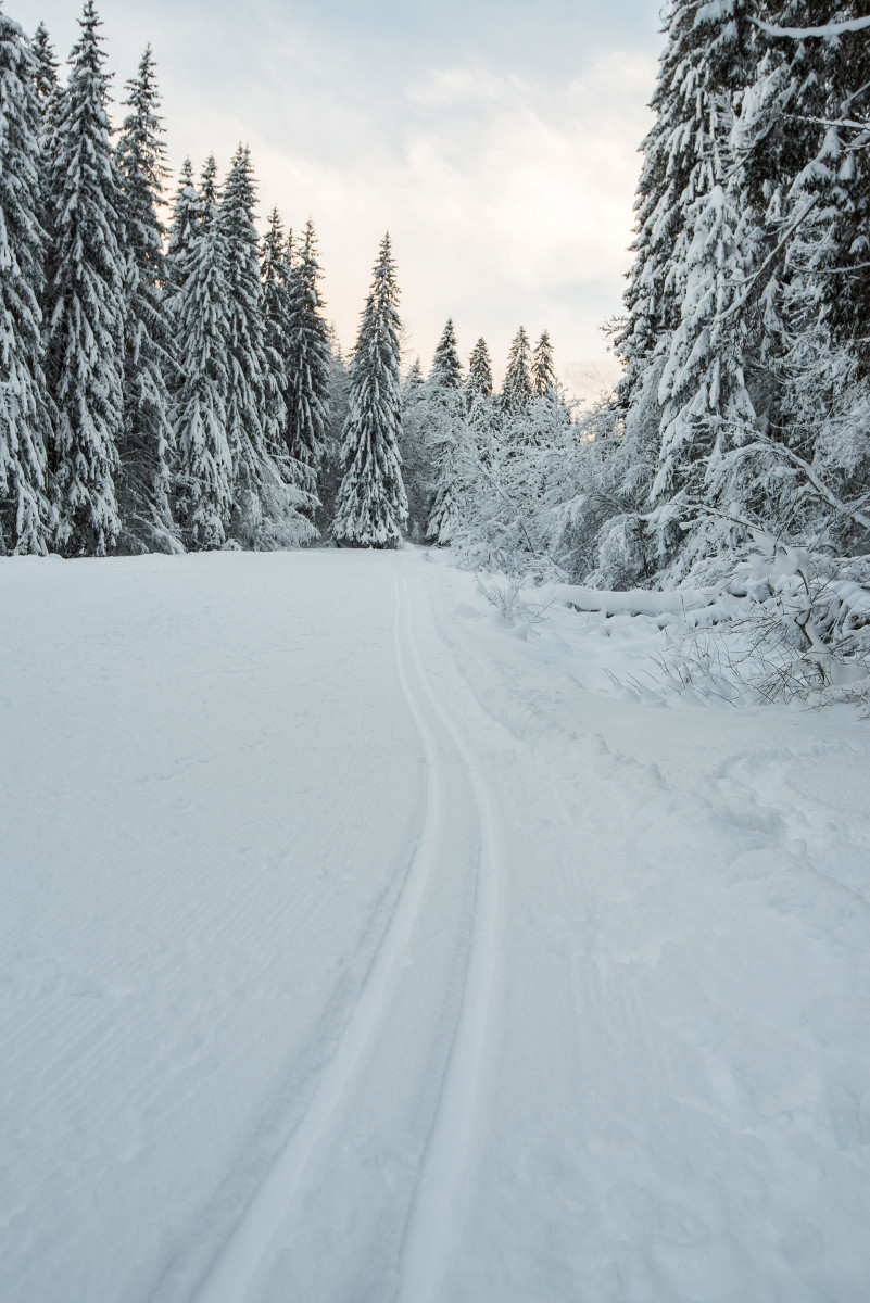 piste-ski-fond-montriond-janvier23-3-96357