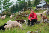 La Ferme des Hermones