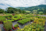 Jardins de montagne