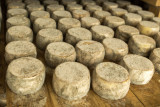 Les fromages en affinage dans la cave