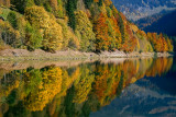 Automne au Lac de Montriond