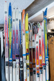 Sport neige