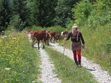 Alpage d'Etelly