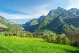Nant de la Scie