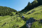Pointe de Tréchauffé
