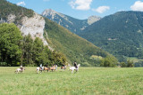 Balade à cheval