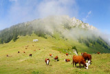 Tour du Mont Ouzon